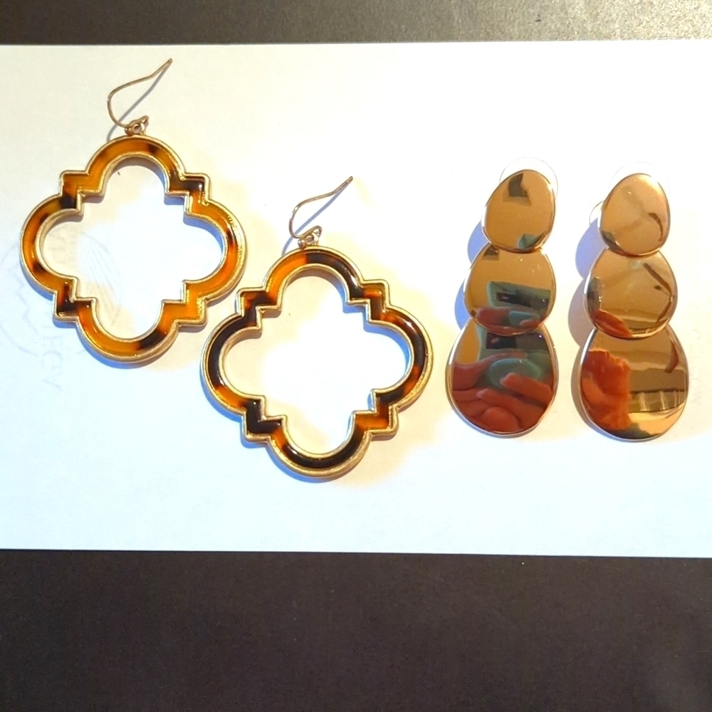 2 Pairs Statement Earrings Dangle Womens Tortoise Leopard Gold Trendy